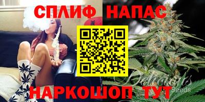 гидра Нарткала